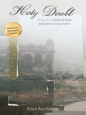 cover image of Holy Doubt